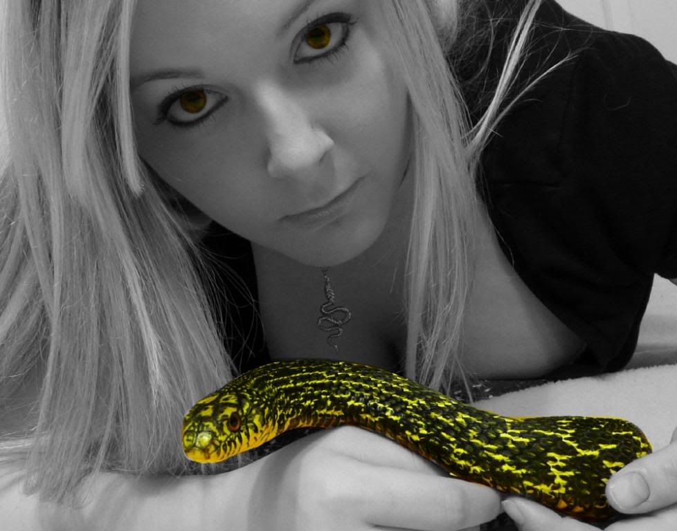 Hamburg Reptile Expo | Chameleon Forums